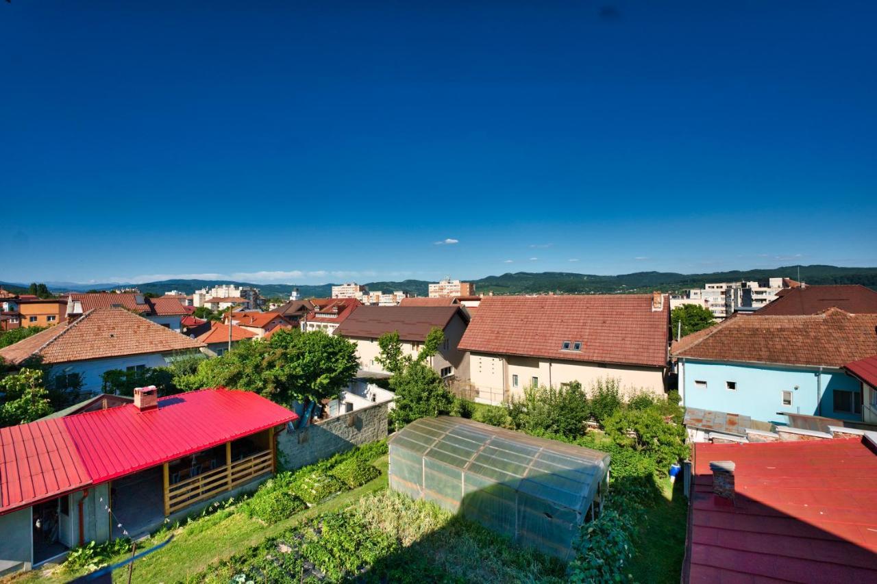 Vila Victoria Ramnicu Valcea Exterior photo