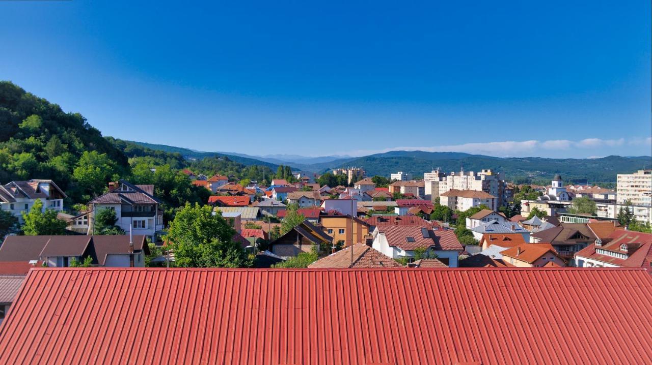 Vila Victoria Ramnicu Valcea Exterior photo