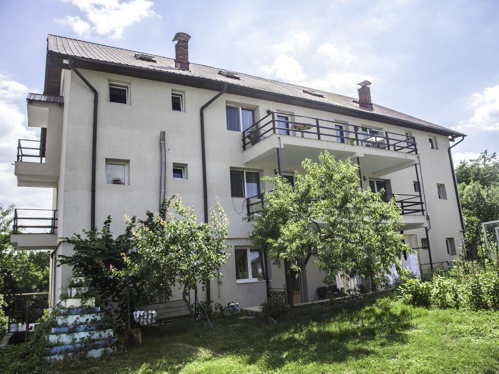 Vila Victoria Ramnicu Valcea Exterior photo