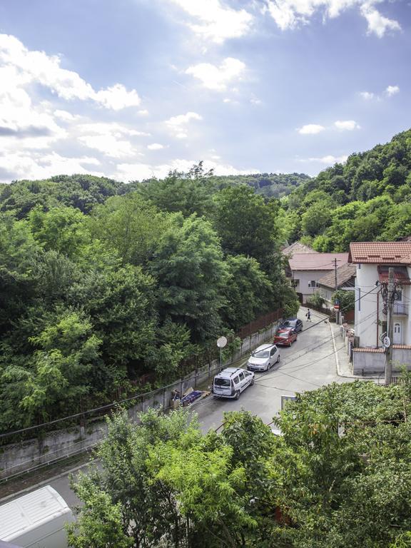 Vila Victoria Ramnicu Valcea Exterior photo